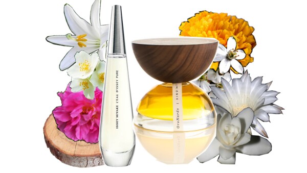 Issey Miyake L'Eau D'Issey Pure y Xinú Oro Nardo