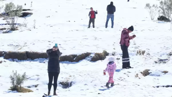 Saca la cobija del tigre: ¿Cuántos frentes fríos se prevén para la temporada 2025-2026?