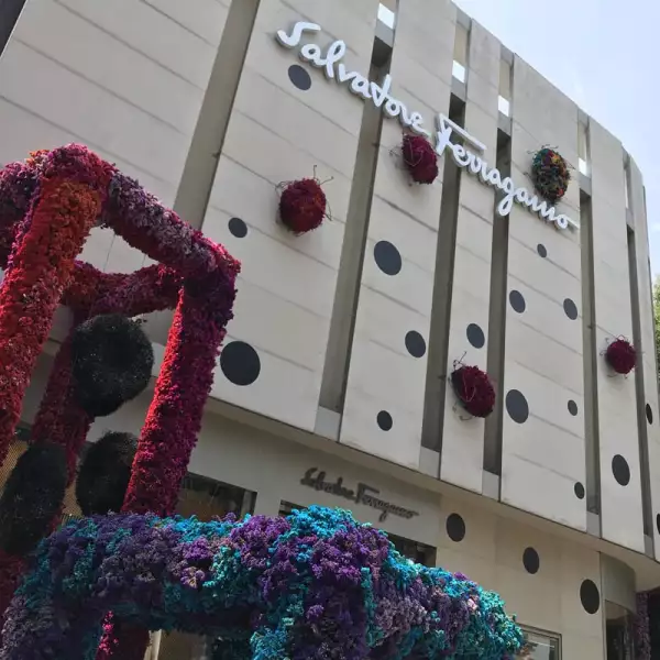 Ferragamo-Polanco-En-Flores