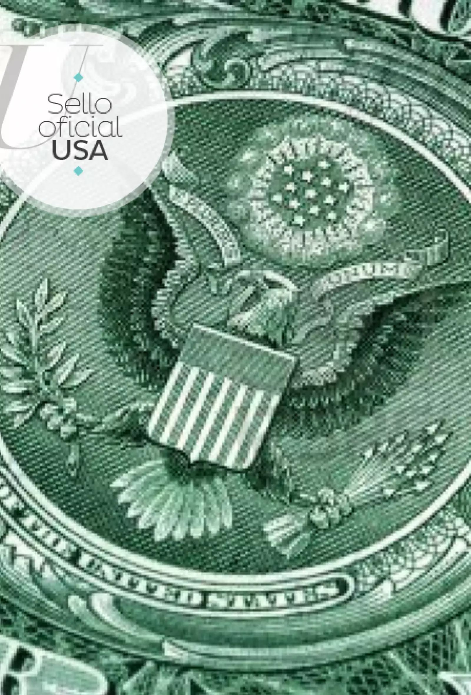 Luego de varias críticas el secretario de estado de Estados Unidos en 1882, Frederick Frelinghuysen recaudó fondos para rediseñar el sello oficial del país. Así en 1884 el congreso aprobó gastar mil dólares en un nuevo diseño que estuvo a cargo de Tiffany & Co.