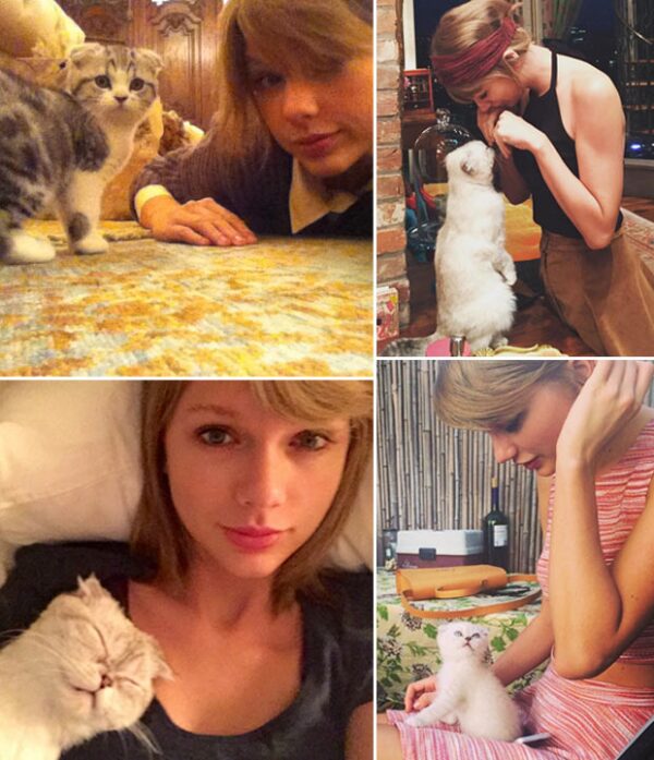 Meredith and Olivia, in gatitas favorite show-business, thanks to Taylor swift.