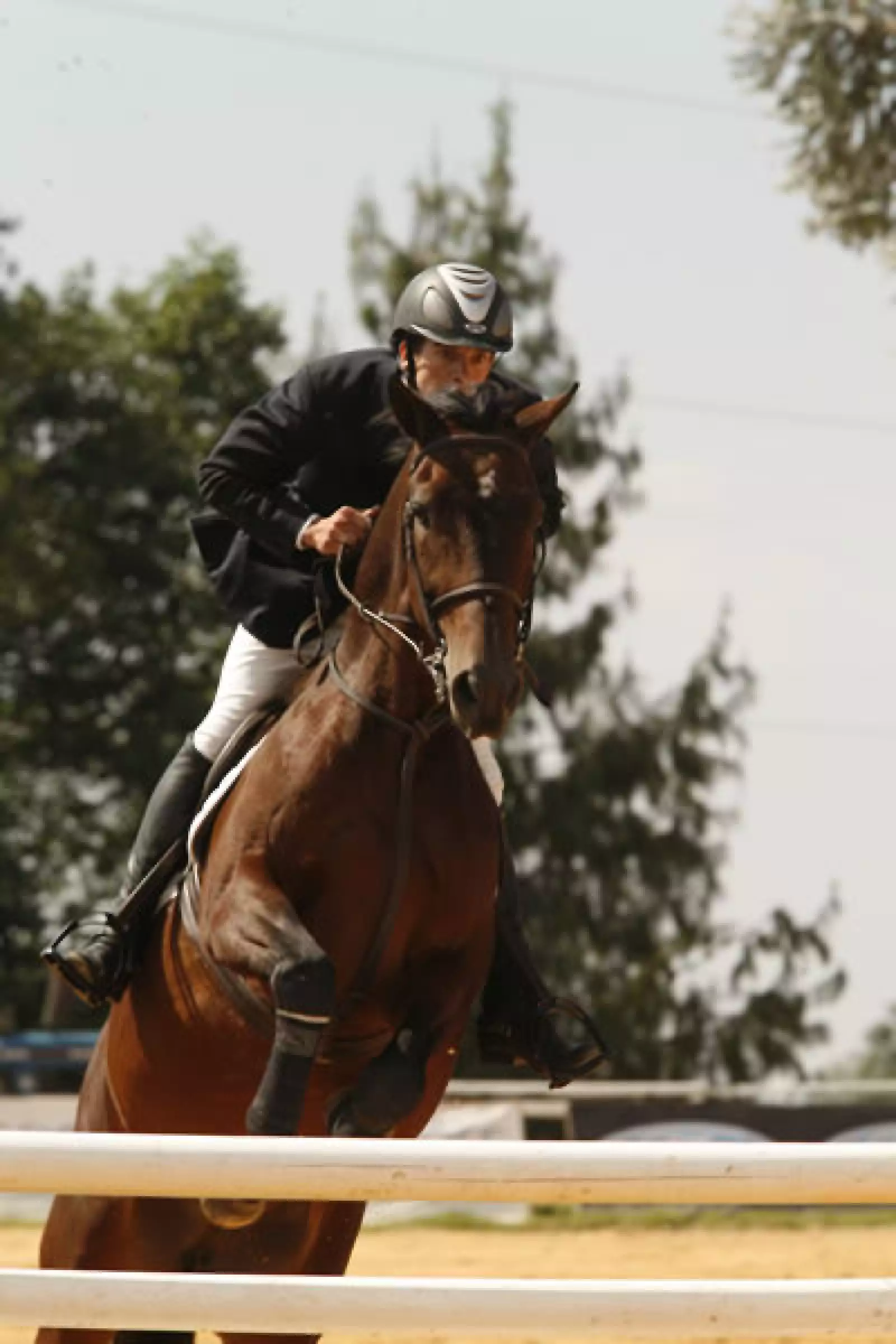 Peyrelonge poresentado por Scappino