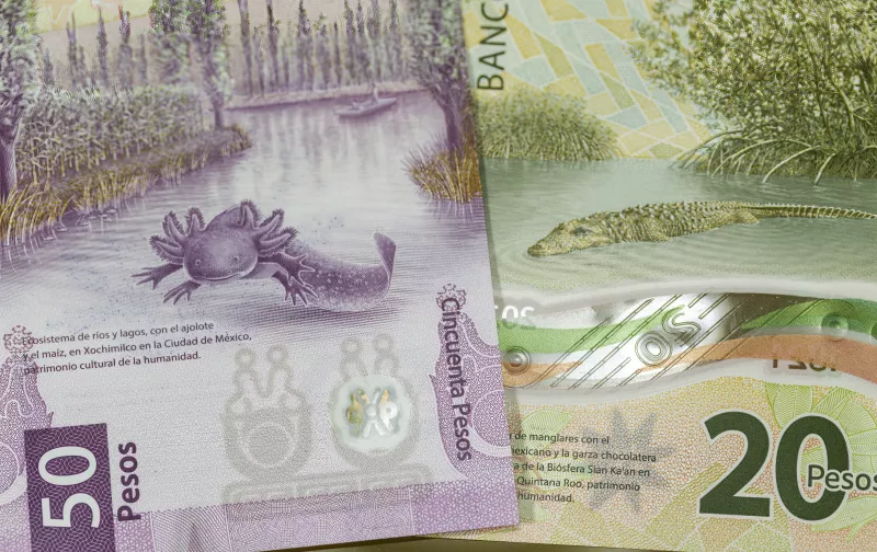 Peso registra ganancia semanal frente al dólar