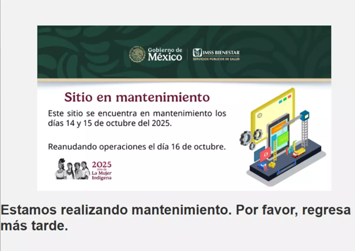 imss-bienestar-falla.png