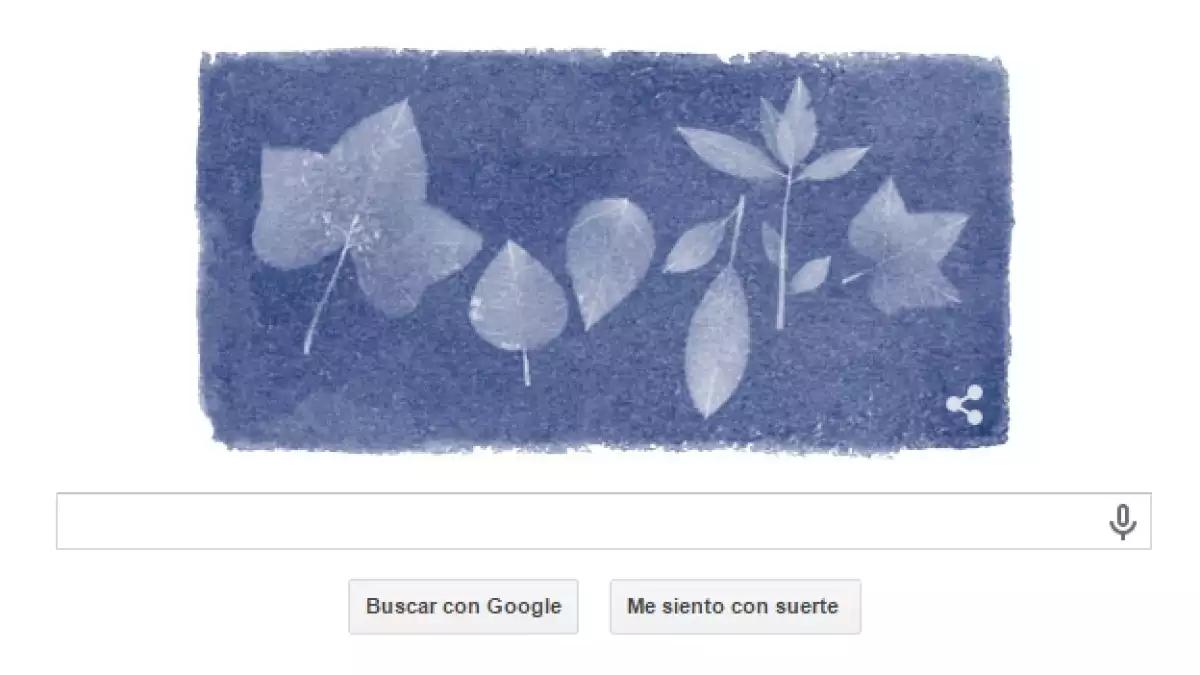 anna atkins doodle