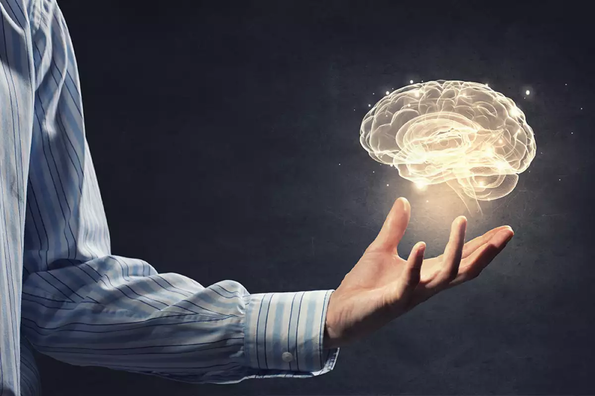 Cerebro