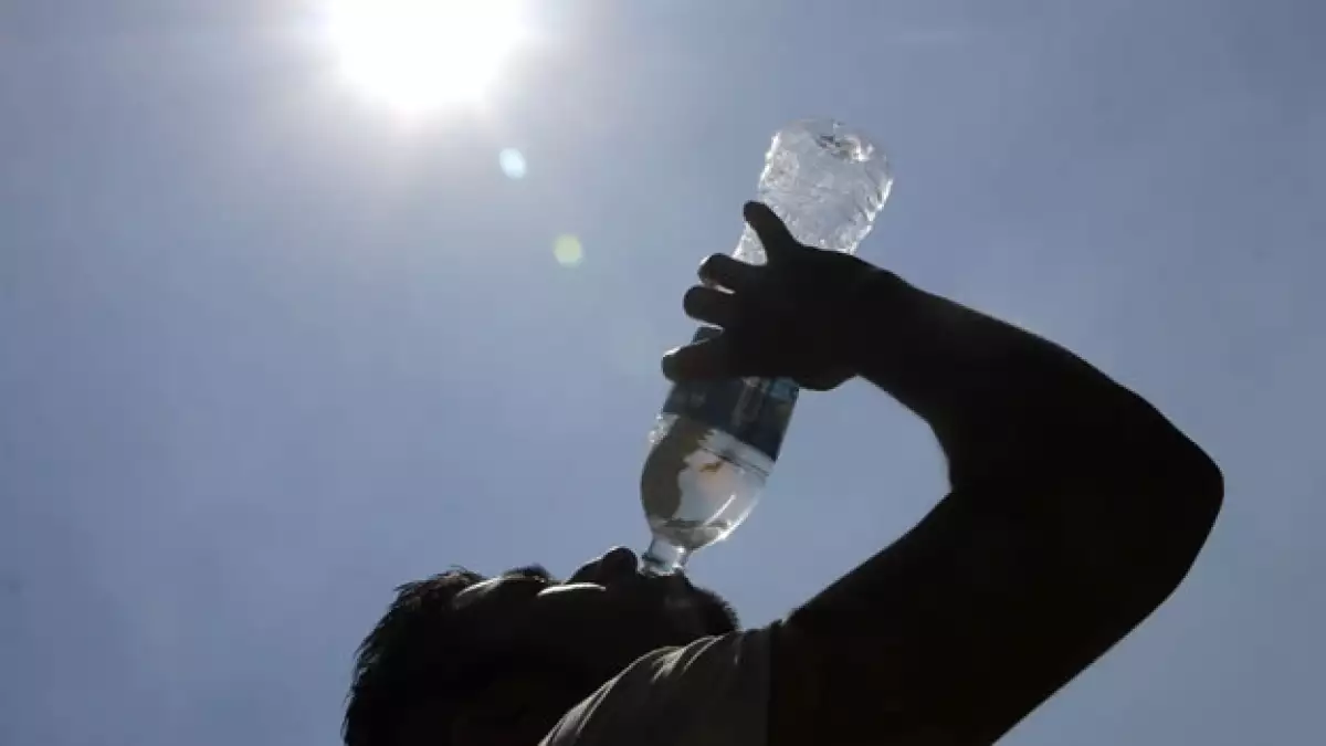 Calor