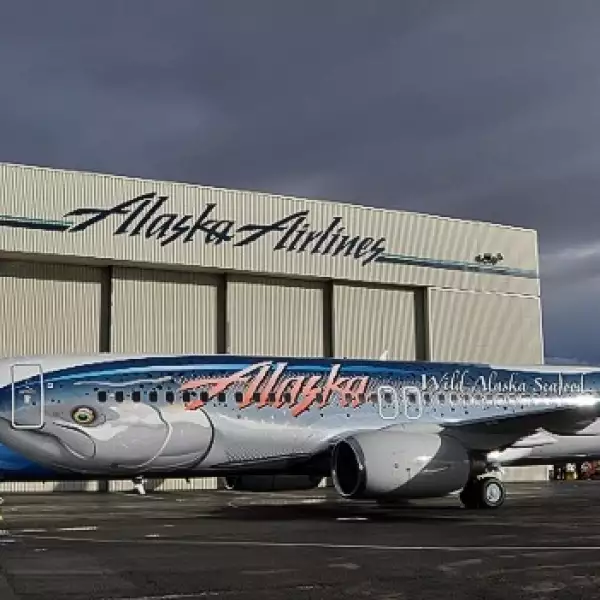 aviones diseños llamativos 1