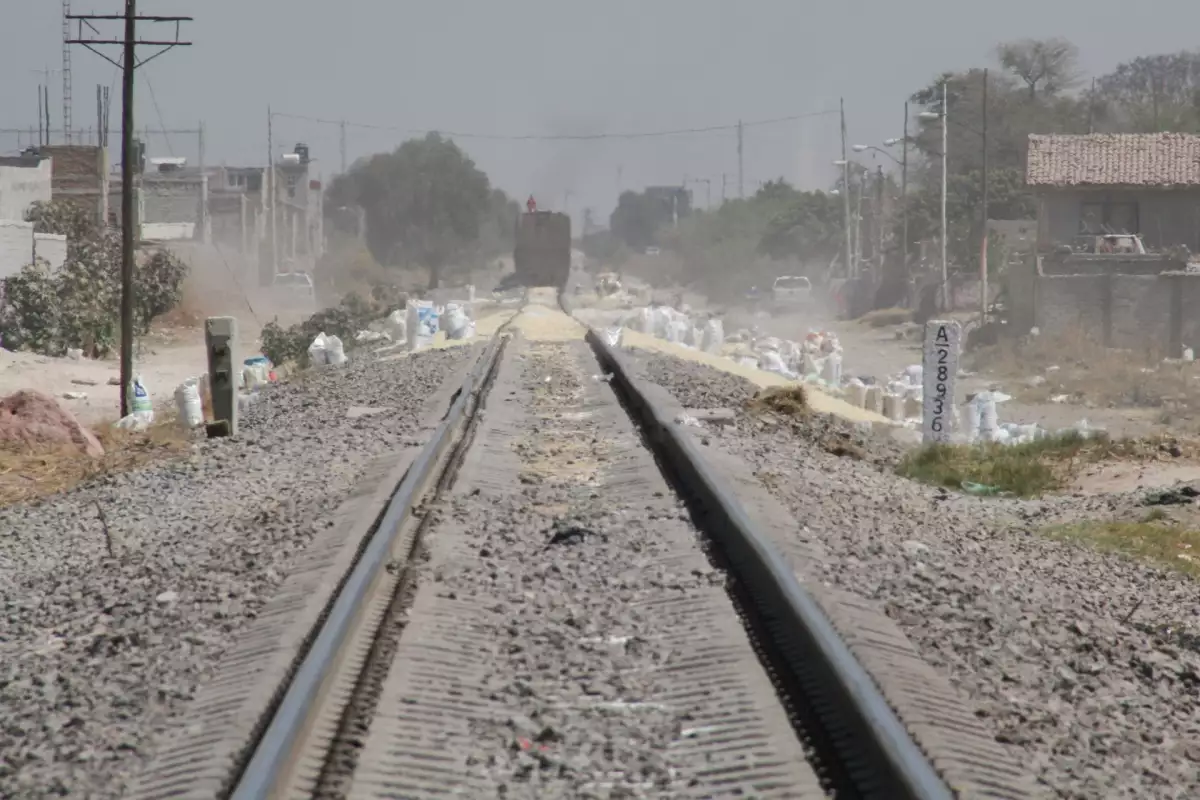 Reportaje Saqueo Maiz