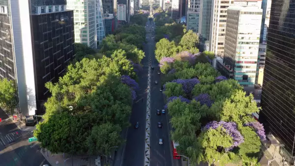 Paseo de la Reforma en los tiempos del coronavirus