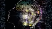 Metacognición, la clave para el futuro tecnológico, empresarial y personal