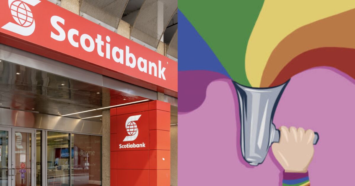 Scotiabank sees in training its formula to be more inclusive Scotiabank sees in training its formula to be more inclusive