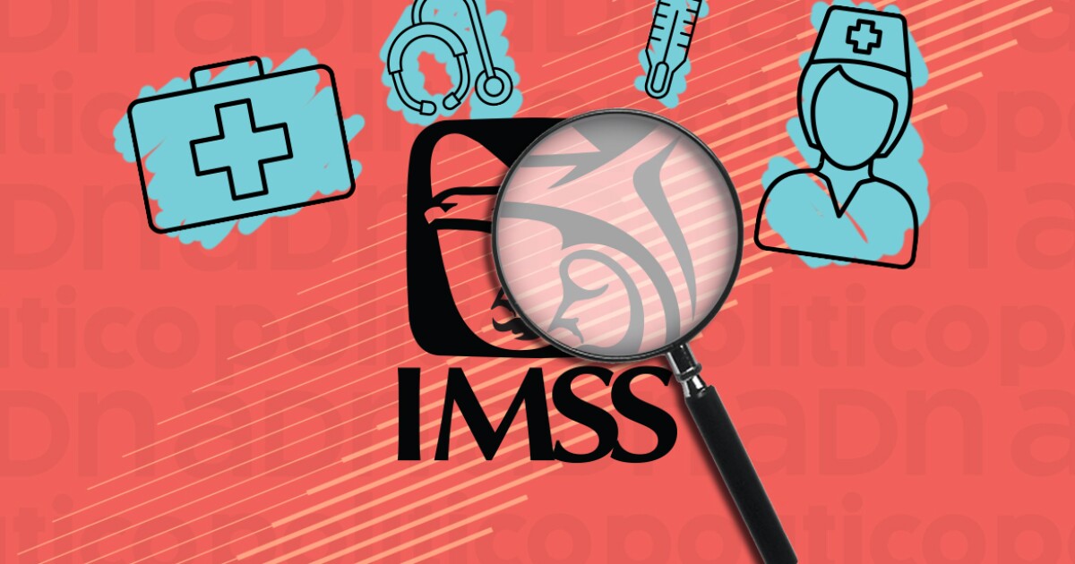 Las Negligencias Y Otras Faltas Detectadas En El Imss