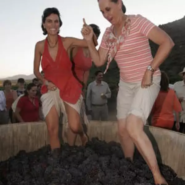 Ximena Legorreta, Erika Hagsater