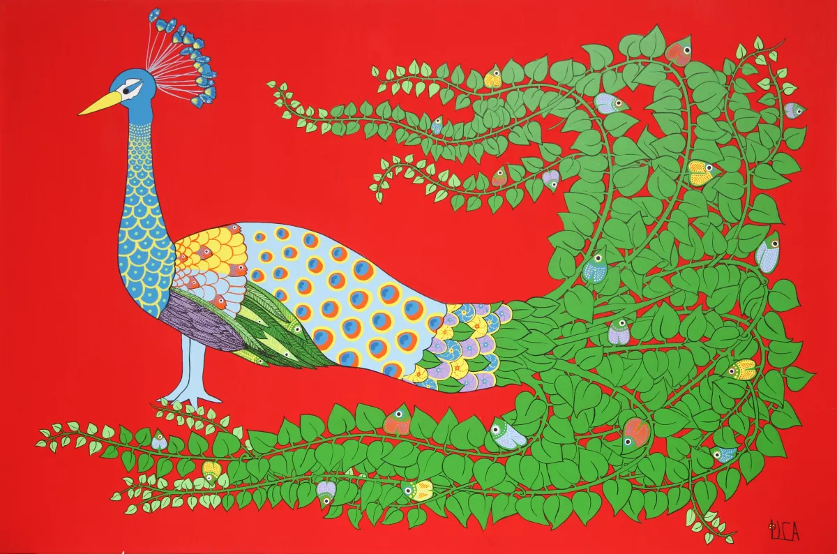 Pavo Soberbio