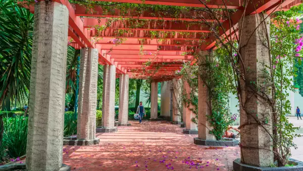 Así era la colonia Condesa de CDMX antes de la gentrificación