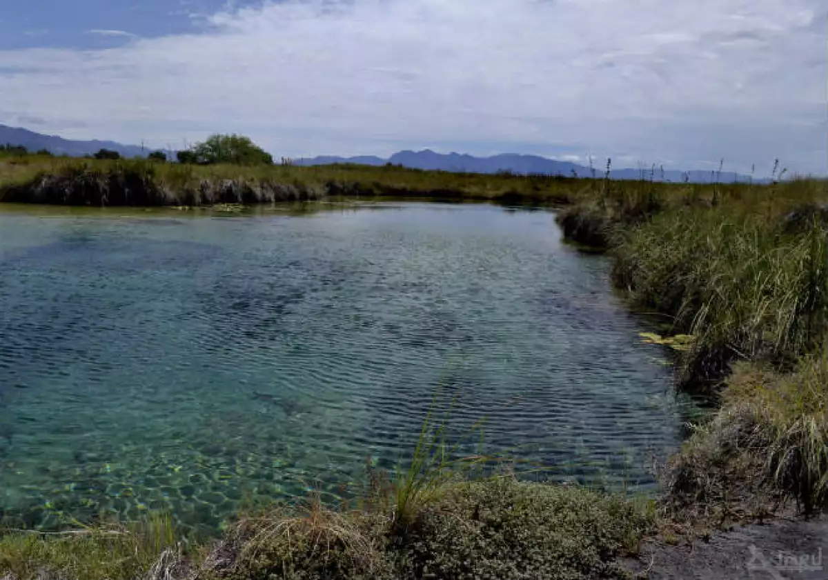 Cuatro Ci�negas Coahuila