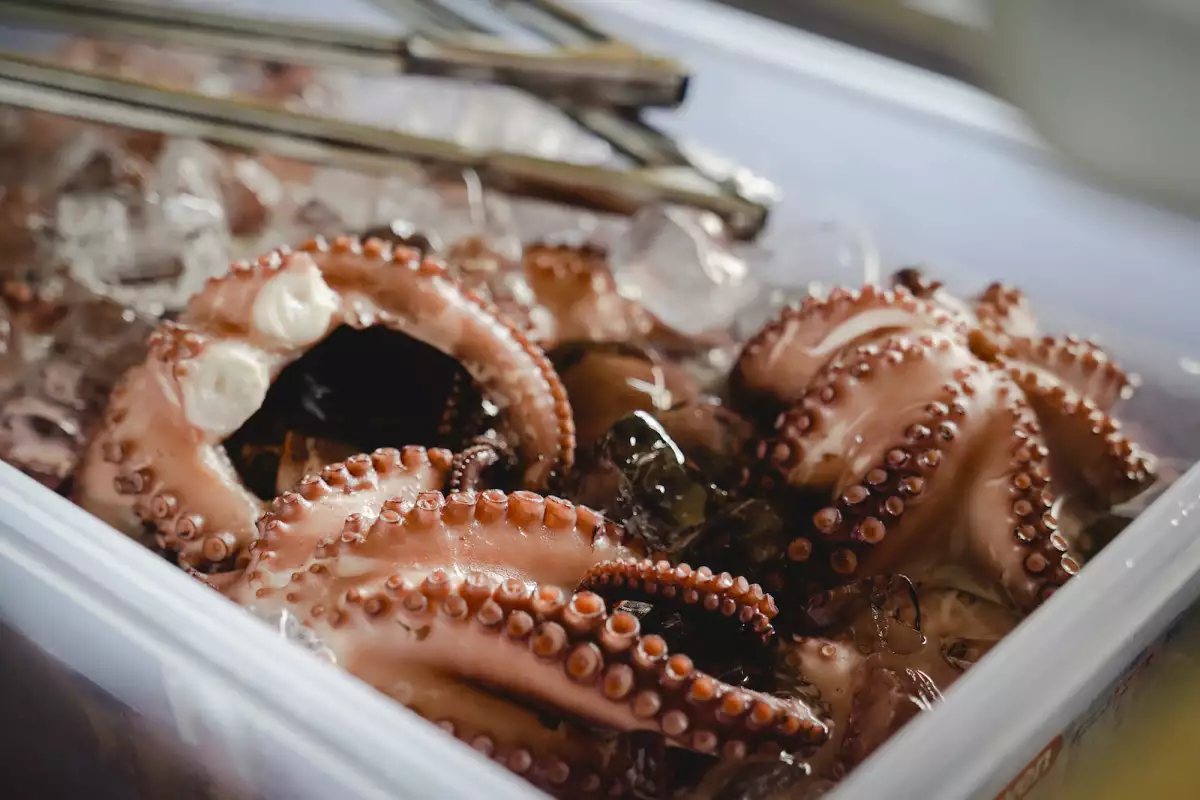 Cena Hokol Vuh-31.JPG