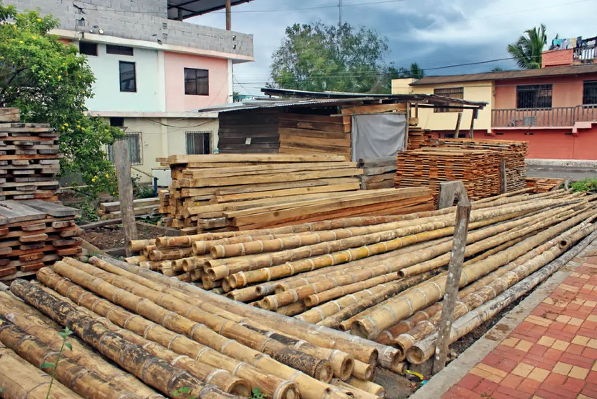 Bamboo Poles Construction Site, Ecuador
