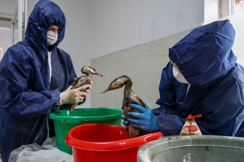 petroleo y contaminacion