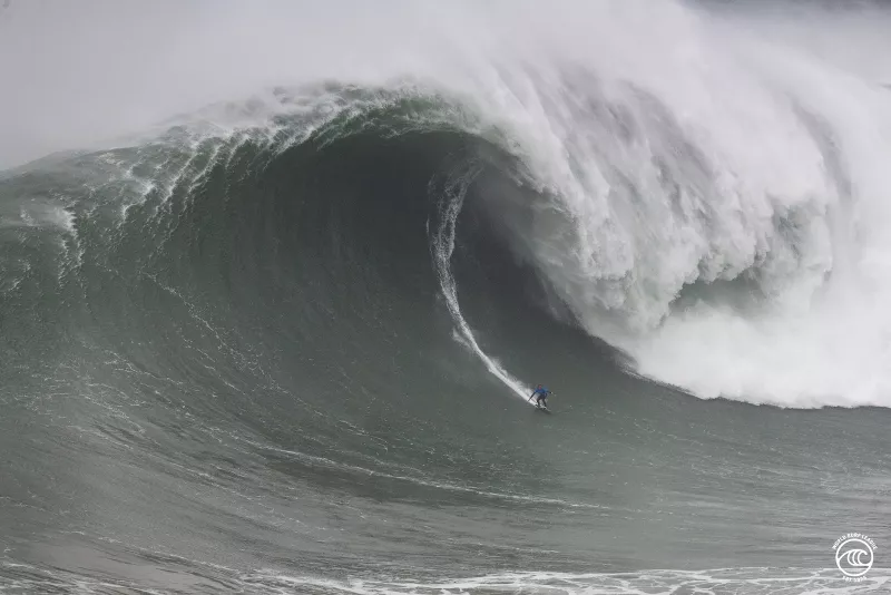 Life and Style Tudor 1.jpg