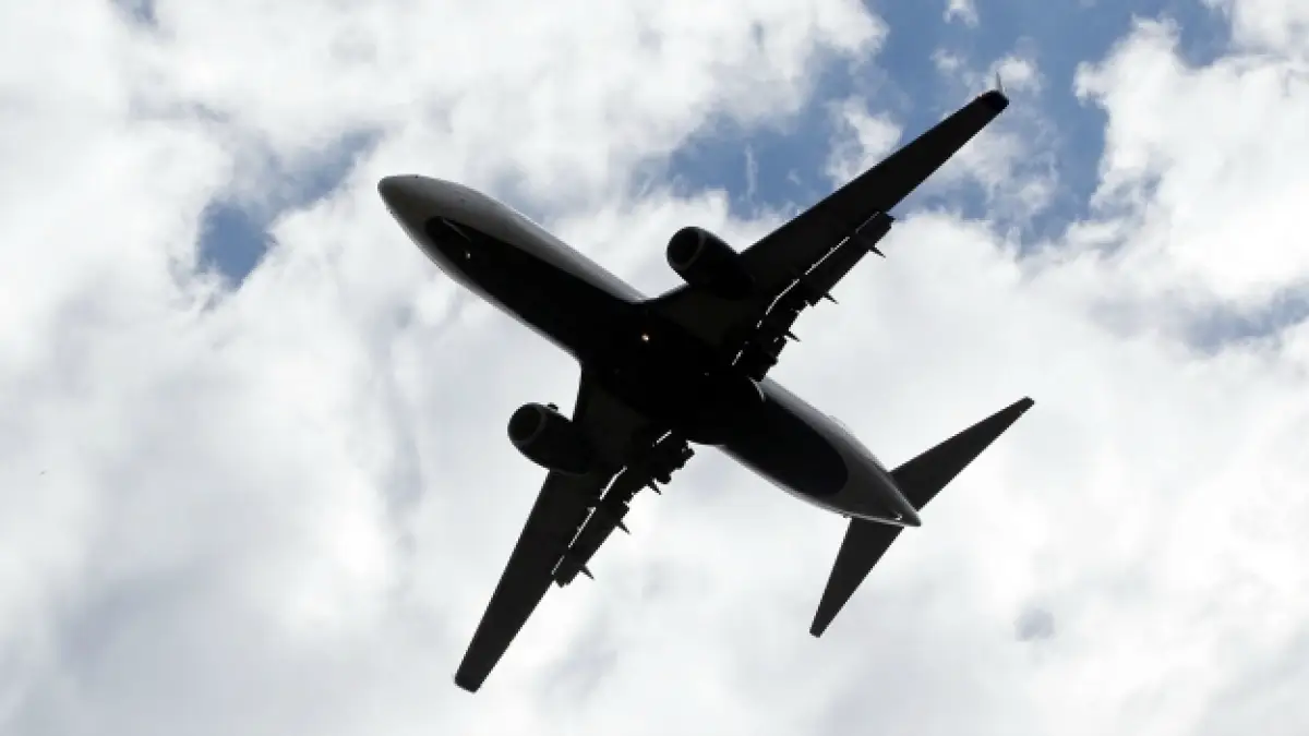 vuelo