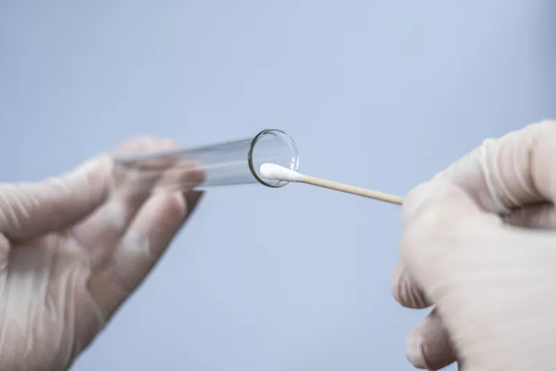 Un científico con guantes de goma sostiene un tubo de cristal y un cotonete de algodón para realizar un análisis. 