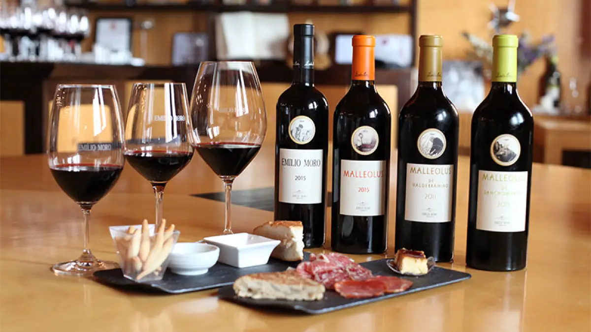 Vinos
