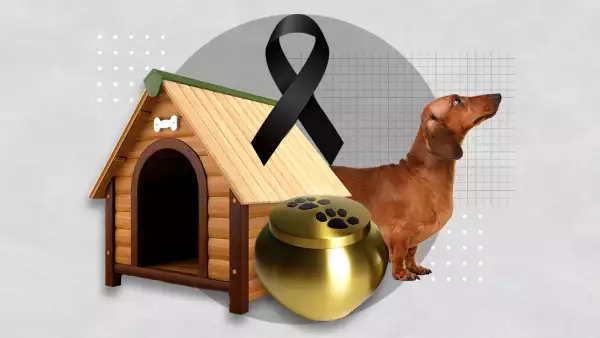 servicios_funerarios_mascotas