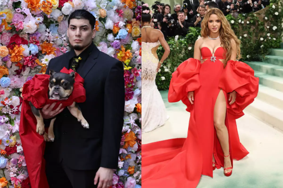 La Pet Gala: todos los perritos que recrearon looks de la Met Gala 2024