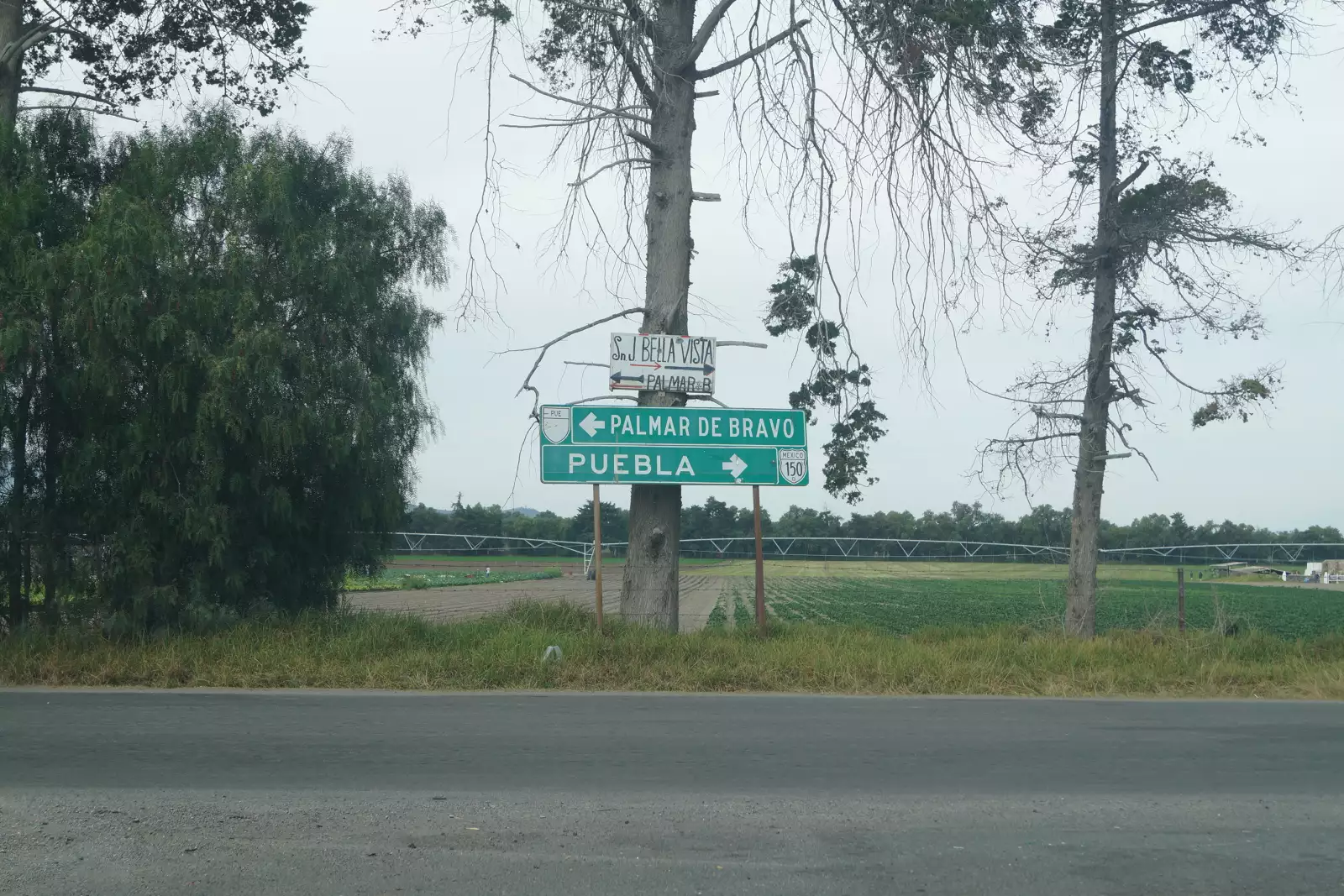 Durante el 2015, en Palmar de Bravo se cuadruplicó el número de tomas clandestinas en comparación con el 2014