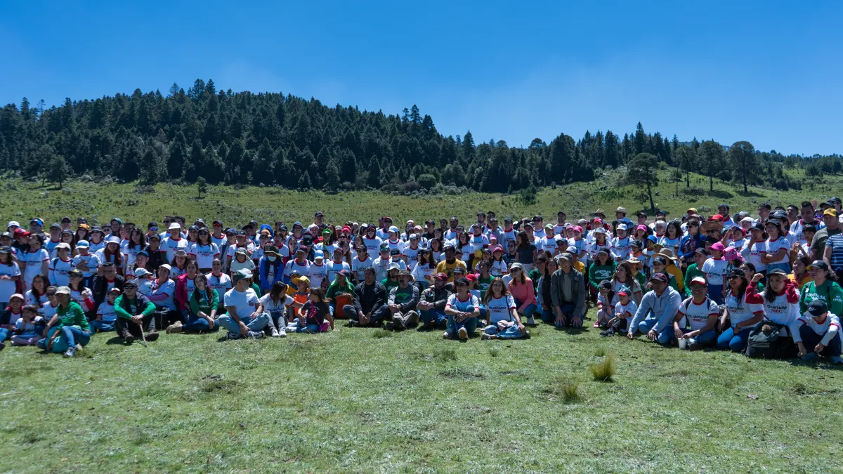 HSBC redorestación 1