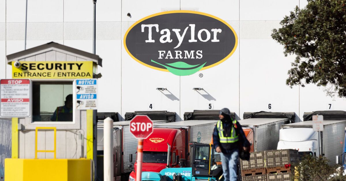 FDA SE EQUIVOCA: NIEGAN VÍNCULO DE TAYLOR FARMS CON BROTE DE PARÁSITO