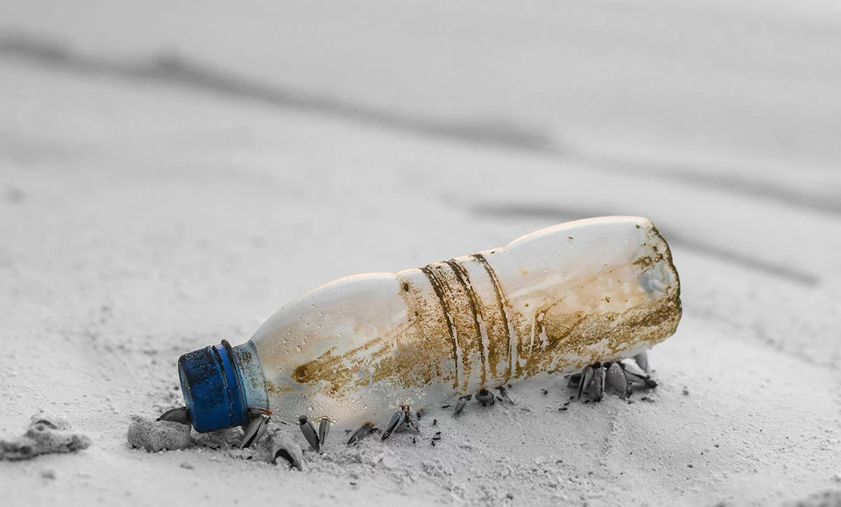 Holbox-prohibe-plastico