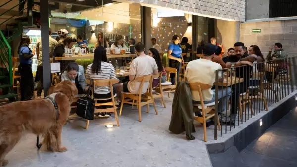 Morenos Tap Room Escandón