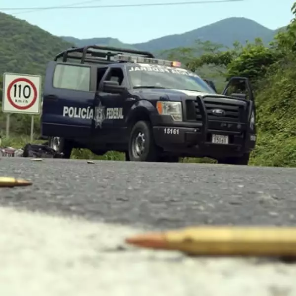 cartuchos tirados en la carretera