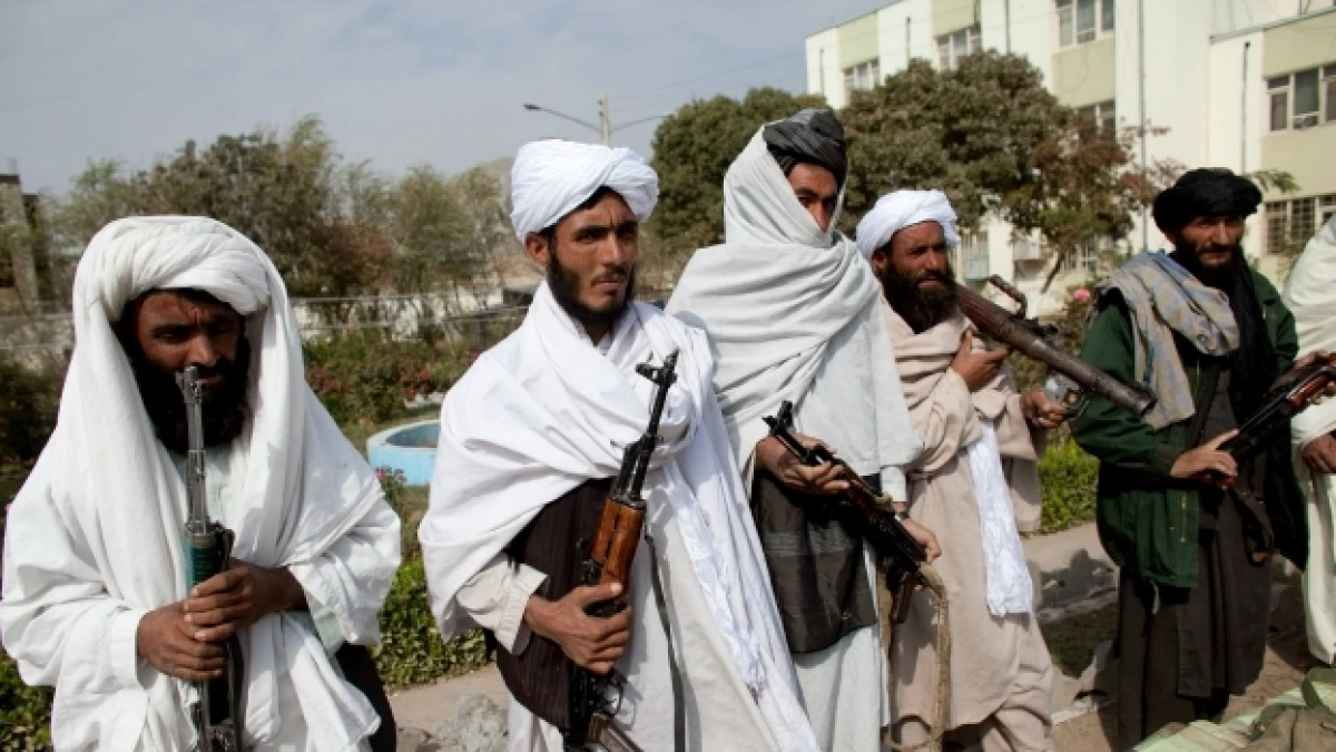 talibanes
