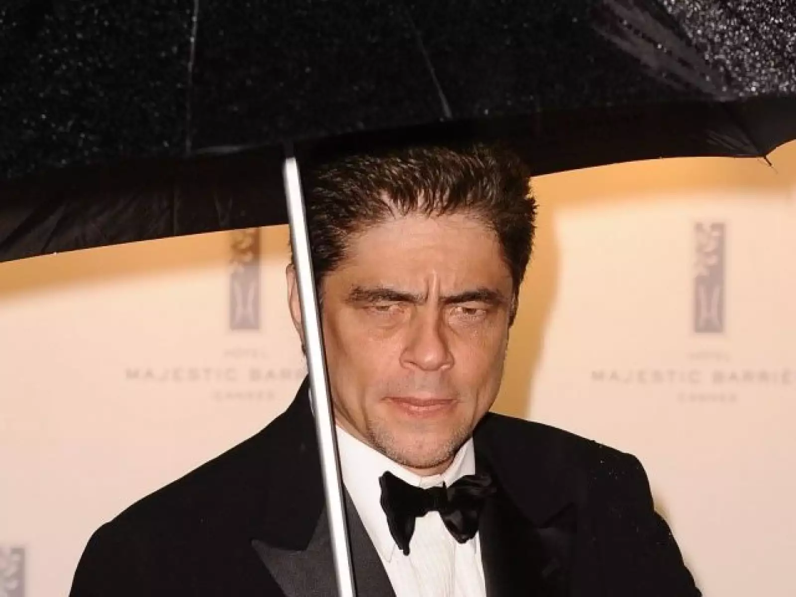 Benicio del Toro