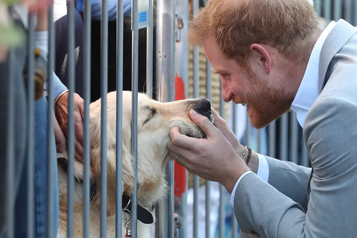 The Duke & Duchess Of Sussex Visit Sussex