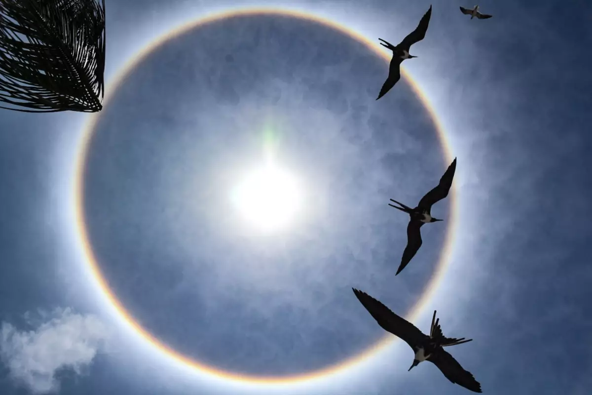 Halo solar: conoce qué es y si es peligroso o no