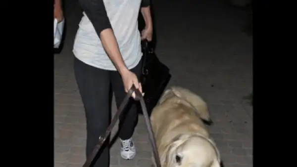 Nicollette Sheridan y su perro Oliver, un White Golden Retriever. Ambos con cara de confusión.