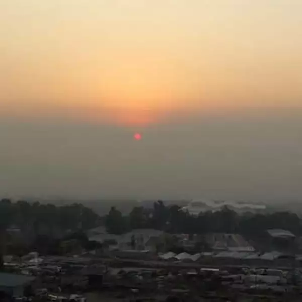 incendio La primavera guadalajara 5