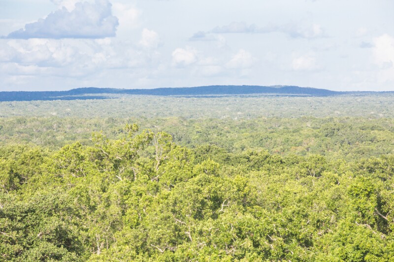 Así es en la actualidad la zona donde se construirá la Estación Calakmul
