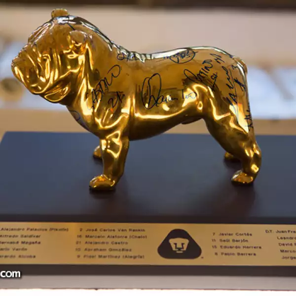 Azul y oro, autor Pumas UNAM