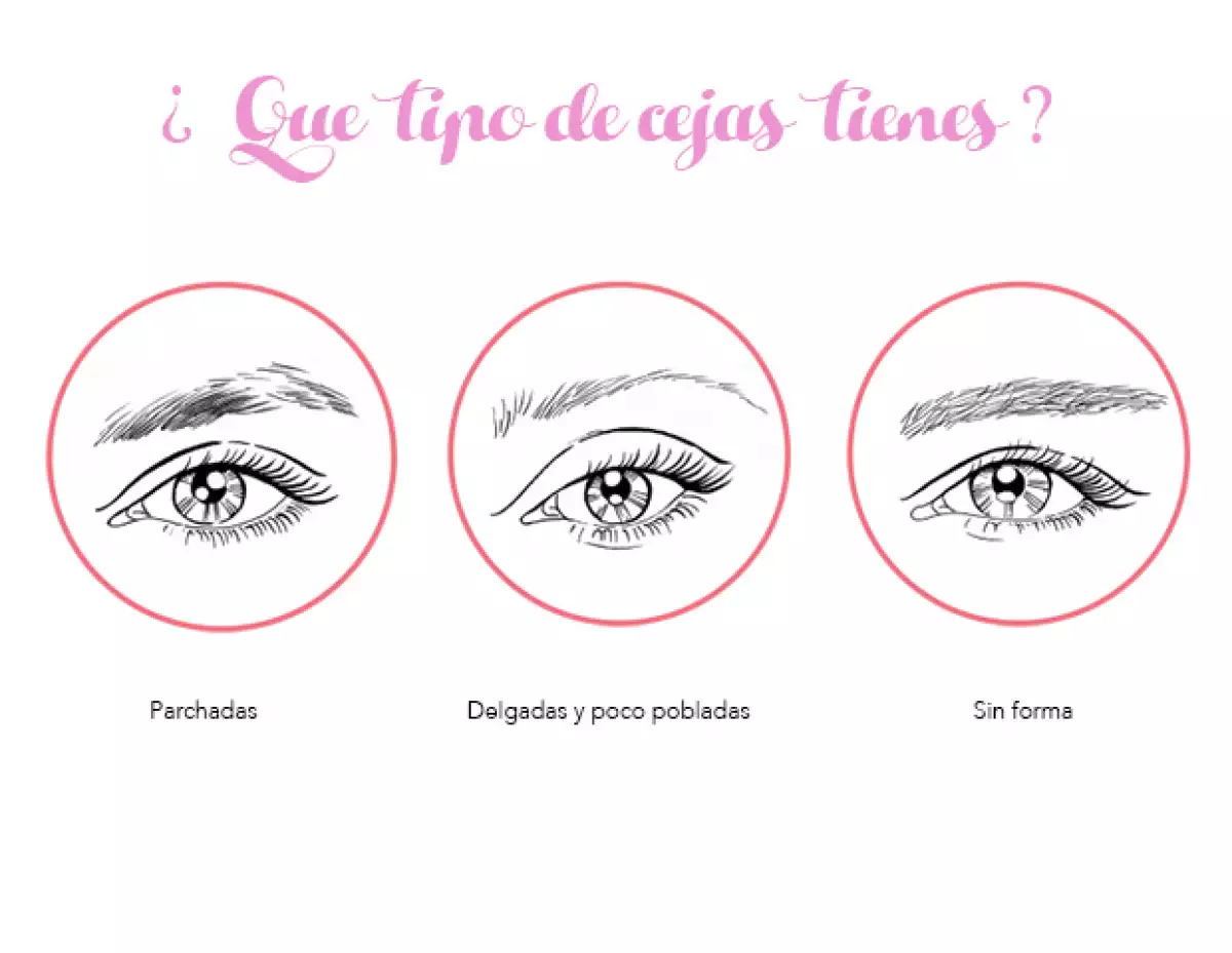 Define tu tipo de cejas y así sabrás que producto es el ideal para tí.