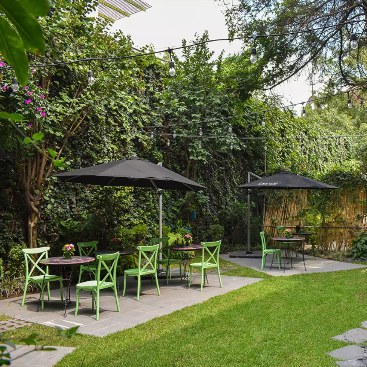 Pug Seal Anatole France.