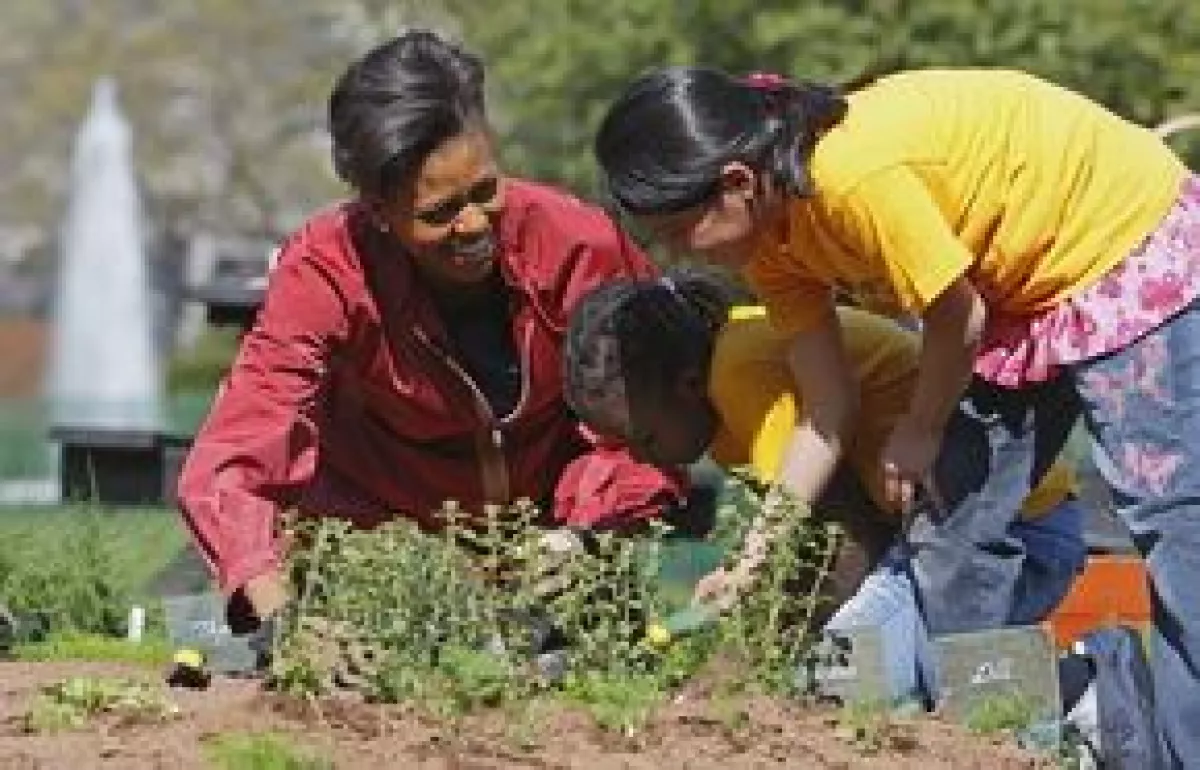 Michelle colocó con cuidado las plantas en los huecos que cavaron dos niñas, que luego regaron.