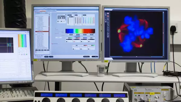 Las tecnologías permiten hacer más eficiente la cadena productiva.