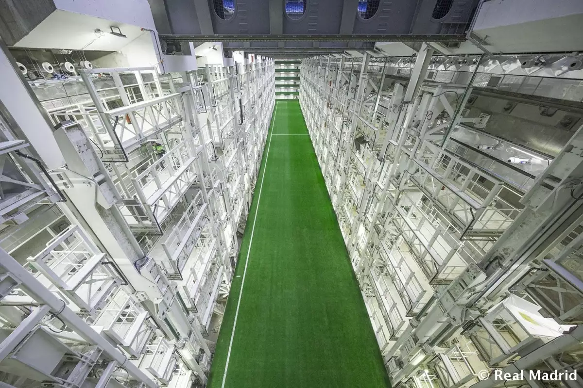 Sistema de césped retráctil