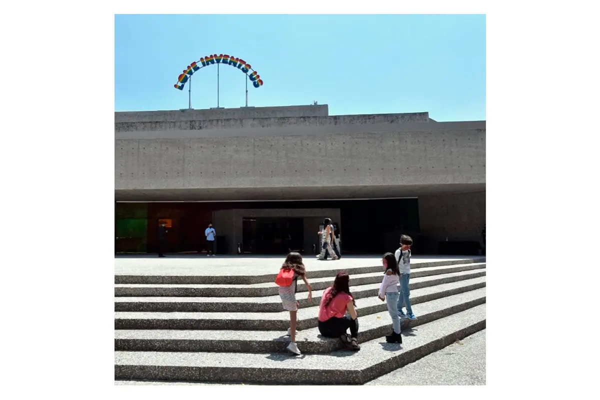 tamayo_curso de verano.jpg